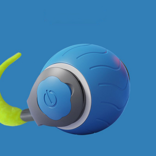 Imperative cat toys